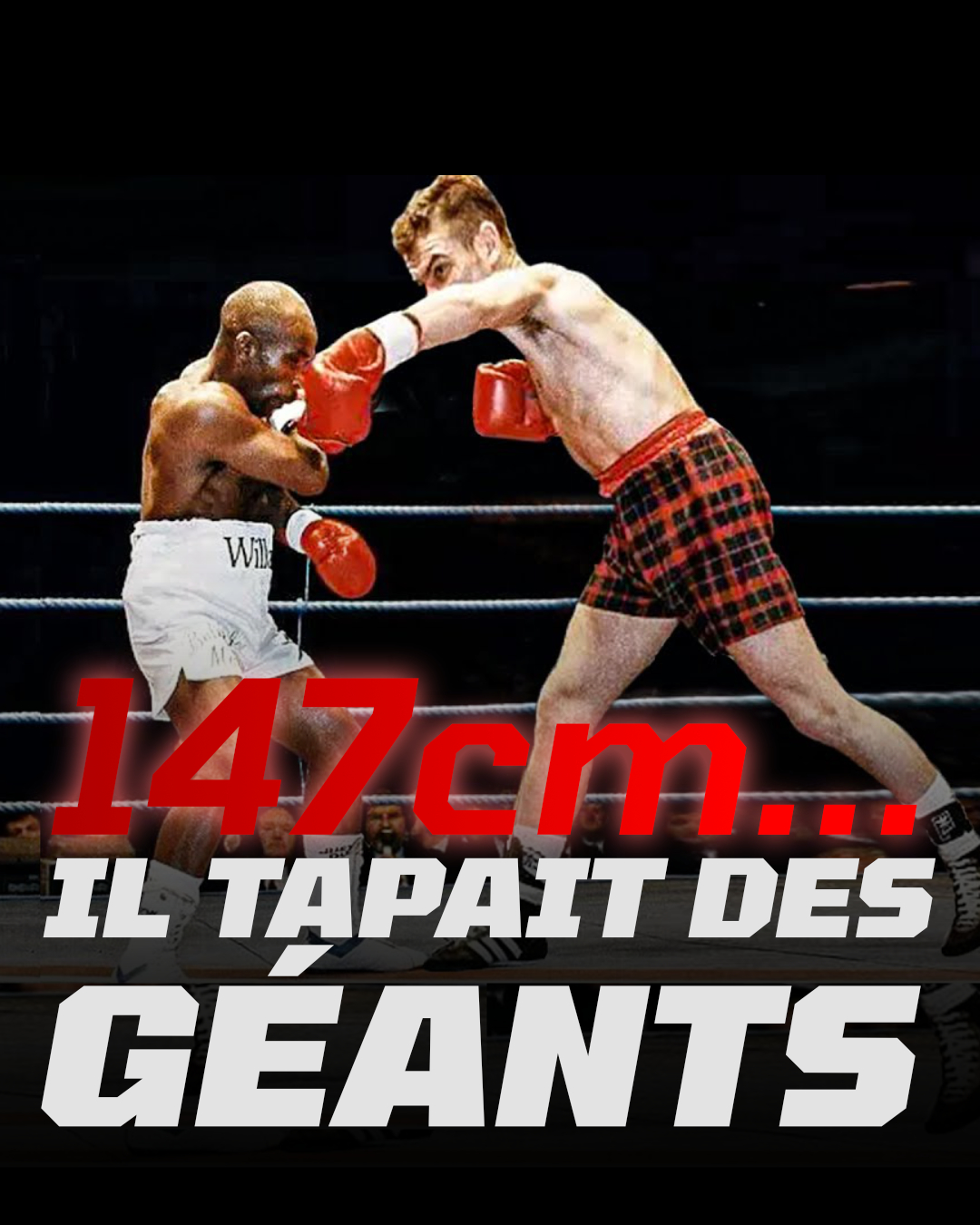Ce que t’apprend le plus petit boxeur du monde pour battre des géants